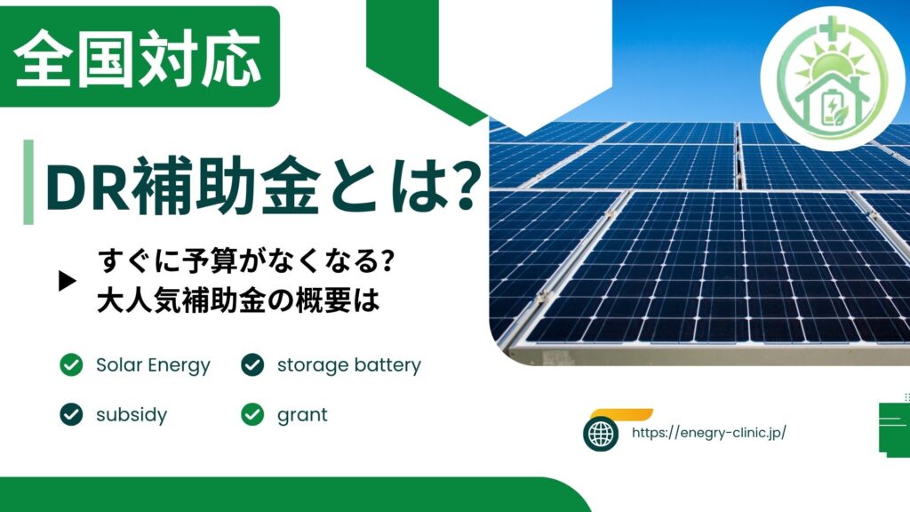 DR補助金とは？